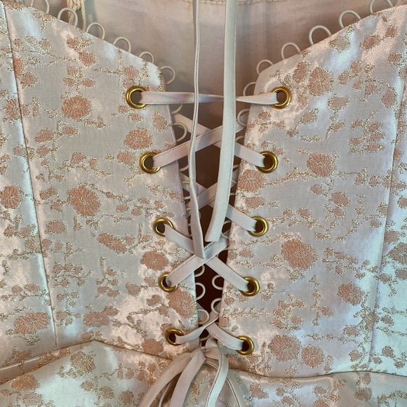 NWTS   V.Chapman dress size 00 Duchess in Dusty Cream - Picture 7 of 9